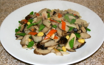 Vegetarian Shark Fin and Mushrooms Stir Fry